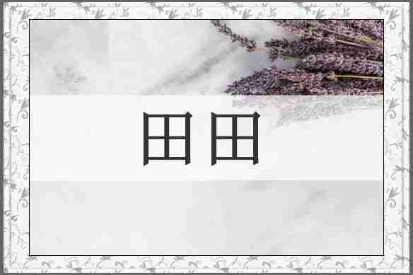 田田