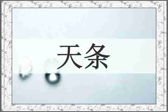 天条