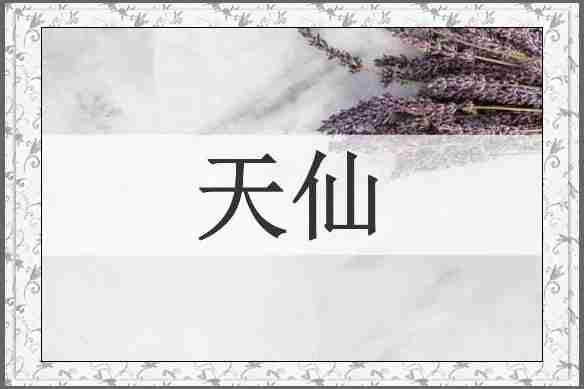 天仙