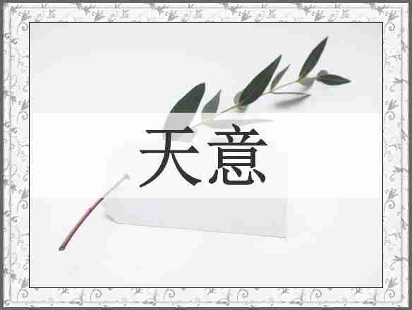 天意