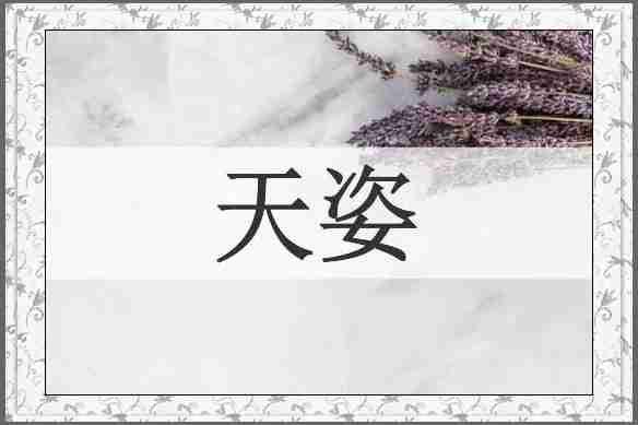 天姿