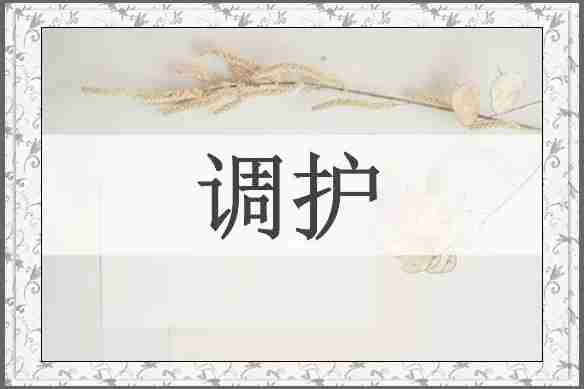 调护