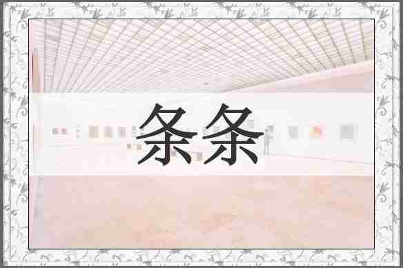条条
