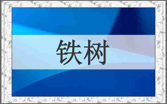 铁树