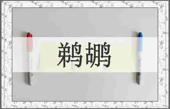 鹈鹕