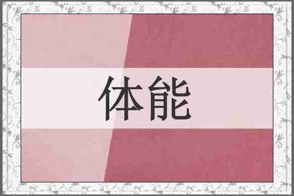 体能