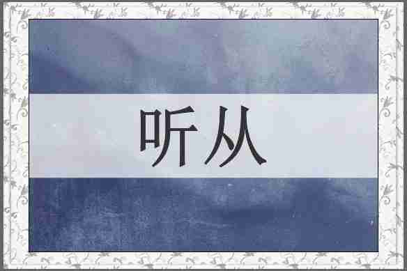 听从