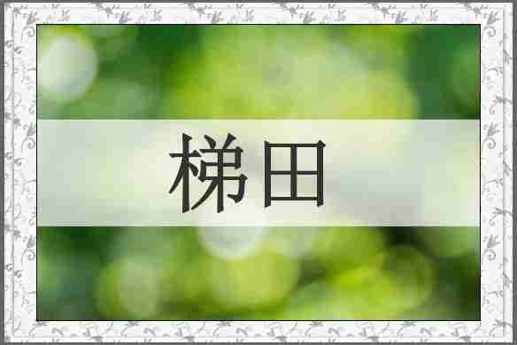梯田