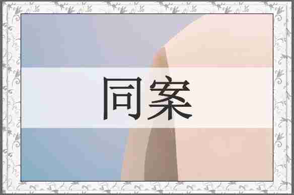 同案