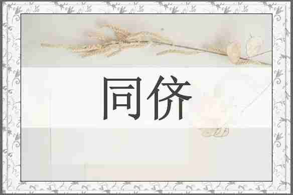 同侪
