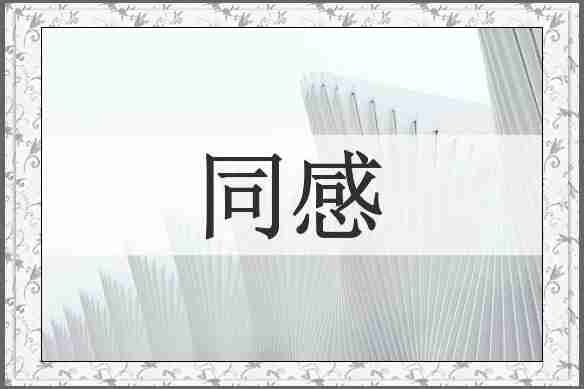 同感