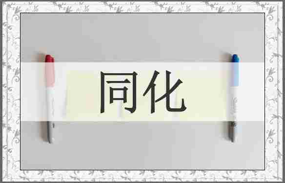 同化