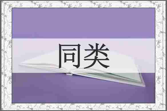 同类