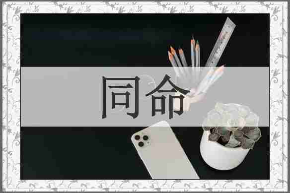 同命