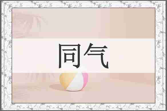 同气