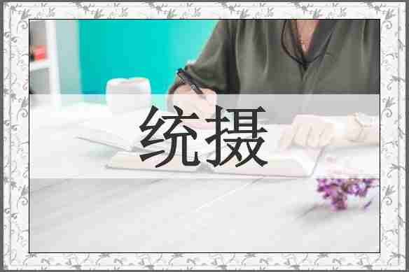 统摄