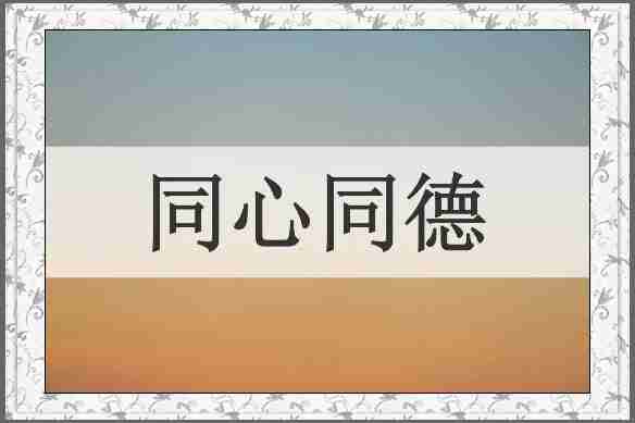 同心同德