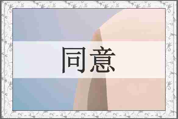 同意