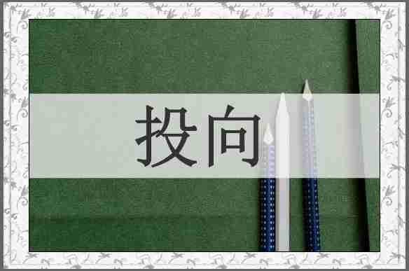投向