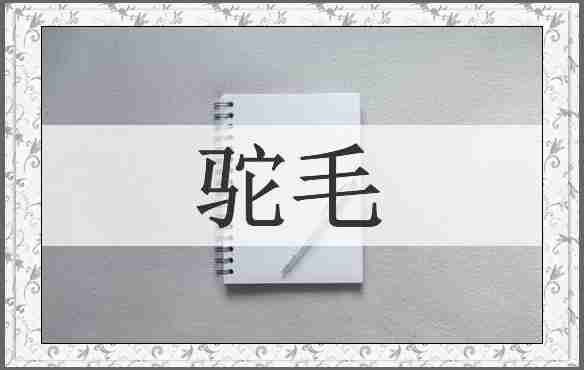 驼毛