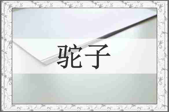 驼子