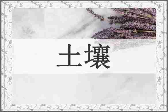 土壤