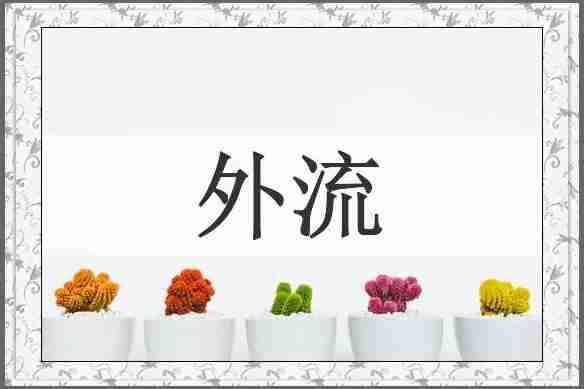 外流
