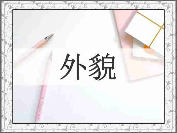 外貌