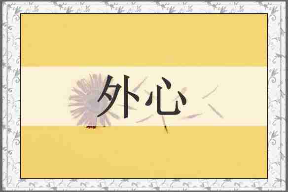 外心