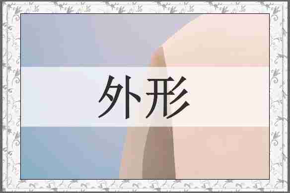 外形