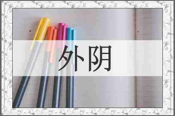 外阴