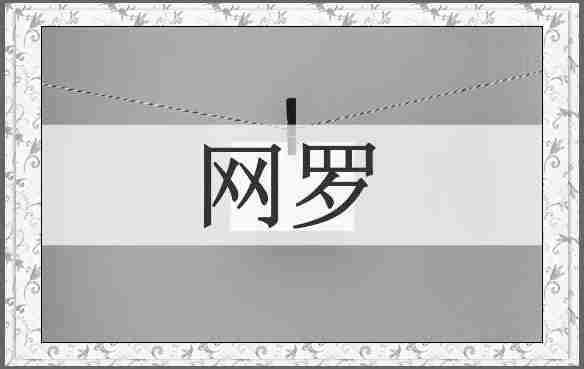 网罗