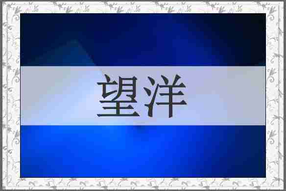 望洋