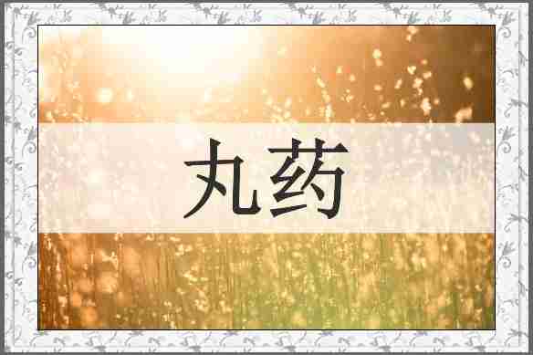 丸药