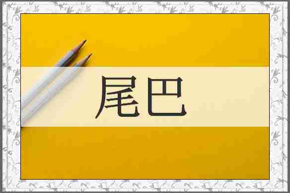 尾巴