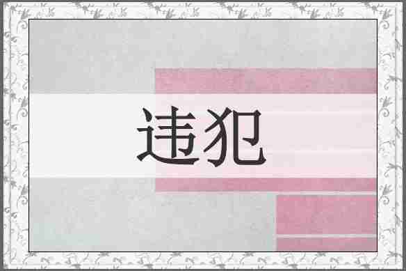 违犯