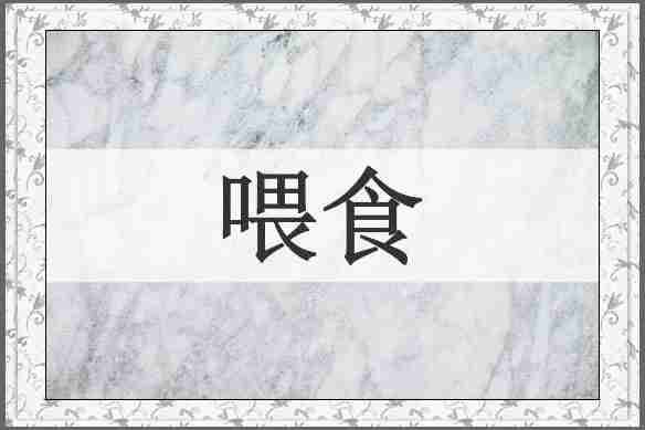 喂食