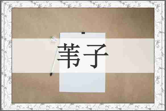 苇子