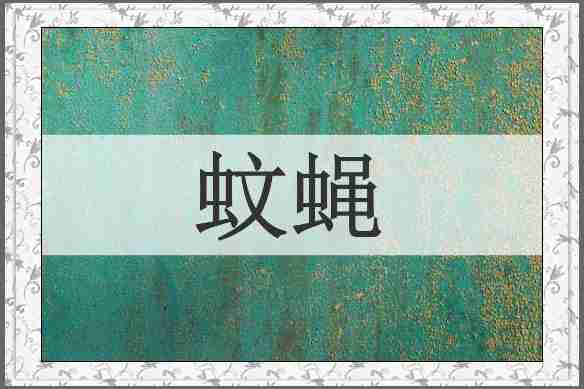 蚊蝇