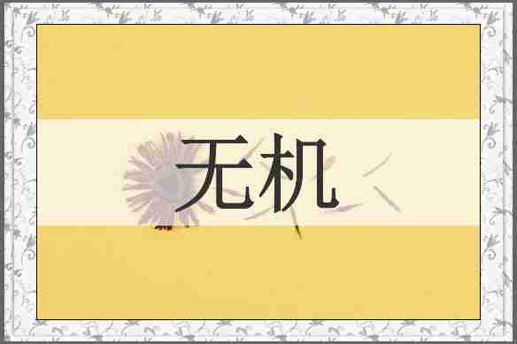 无机