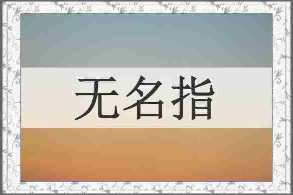 无名指