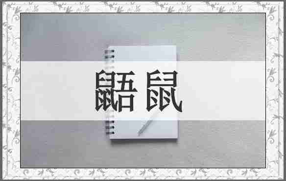 鼯鼠