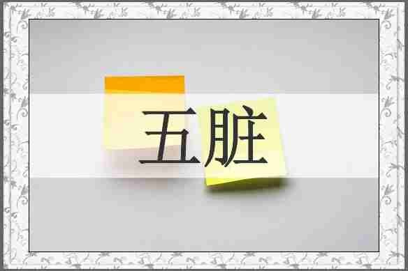 五脏