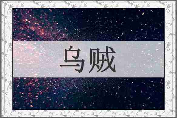乌贼