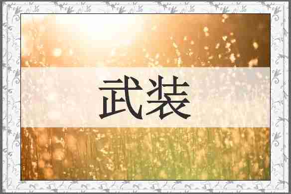 武装