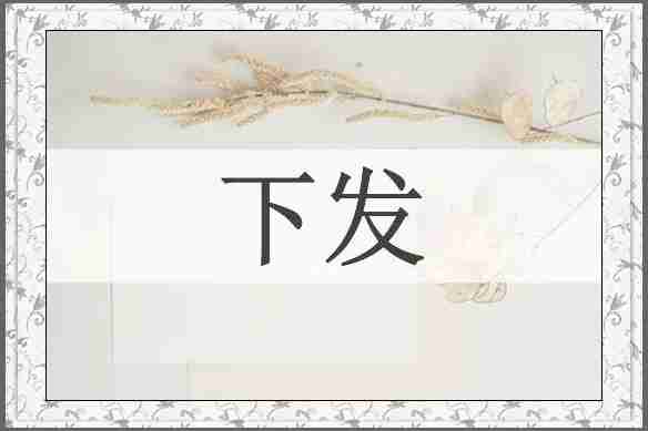 下发