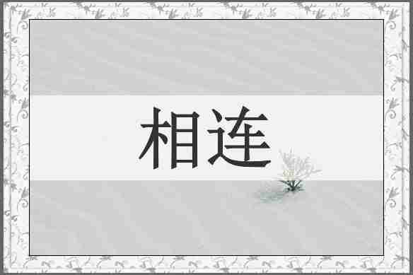 相连