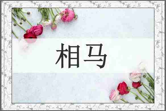 相马