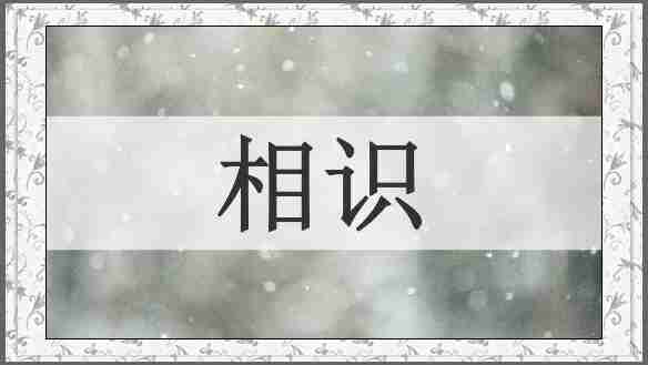 相识