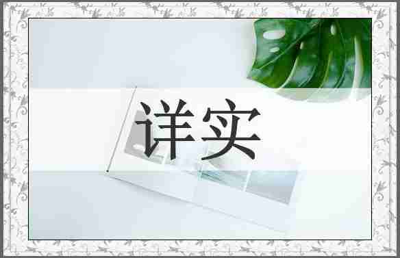详实